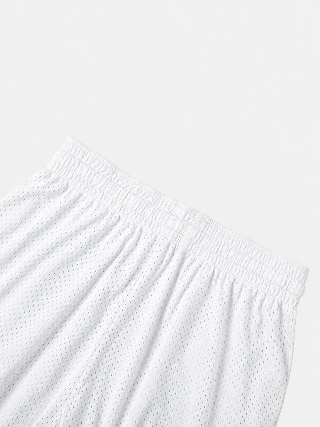 SB Gym shorts